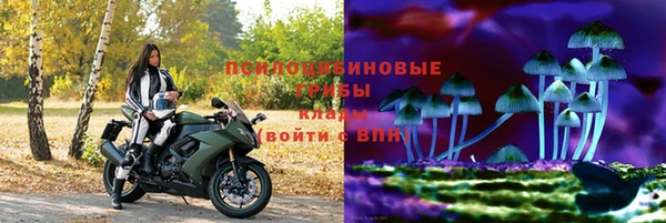 apvp Покров